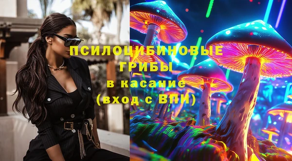спайс Баксан