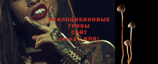 Альфа ПВП Балабаново