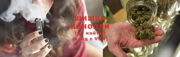 спайс Баксан