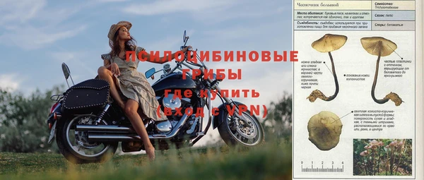 2c-b Балахна